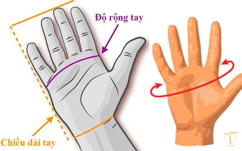 Cách chọn size găng tay da