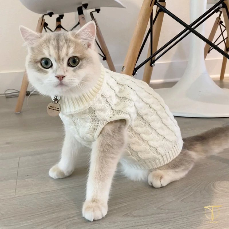 Móc áo len cho mèo