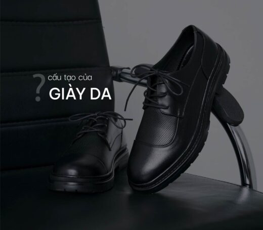 Tìm Hiểu Về Cấu Tạo Của Một Chiếc Giày Cực Chi Tiết