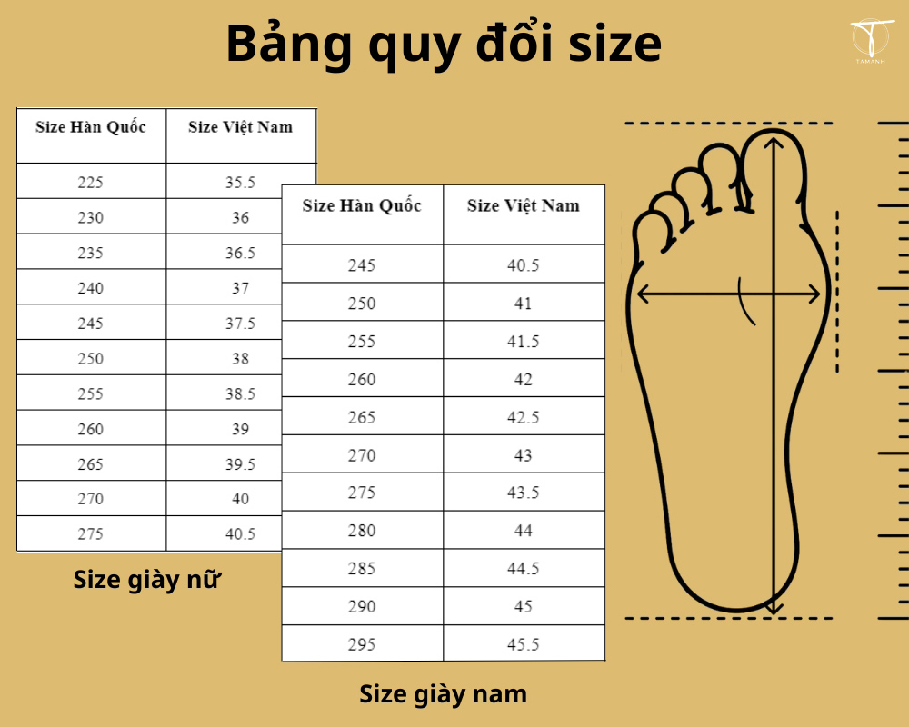 Bảng size giày Hàn Quốc và cách quy đổi sang size giày Việt