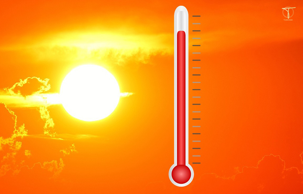 cách bảo quản túi da không bị tróc 7