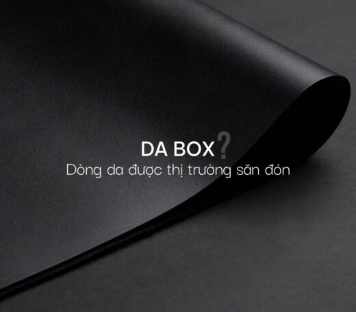 Da Box là gì? Dòng da cao cấp mới được thị trường săn đón
