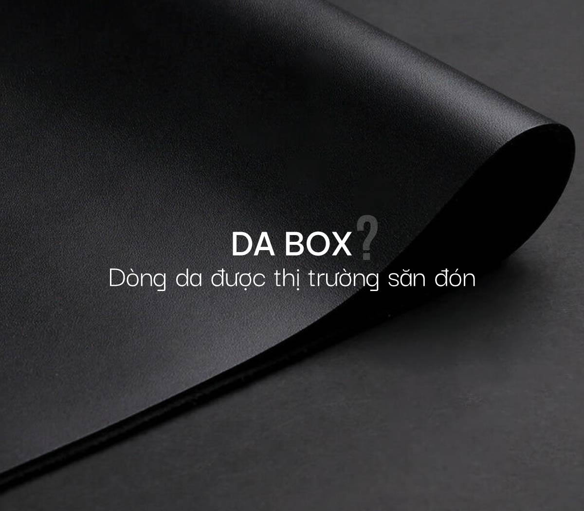 Da Box là gì? Dòng da cao cấp mới được thị trường săn đón