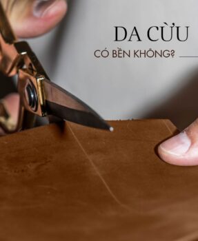 Da cừu có bền không? So sánh da cừu và da bò