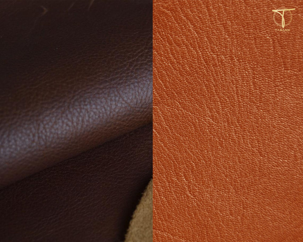 So sánh da cừu và da bò  