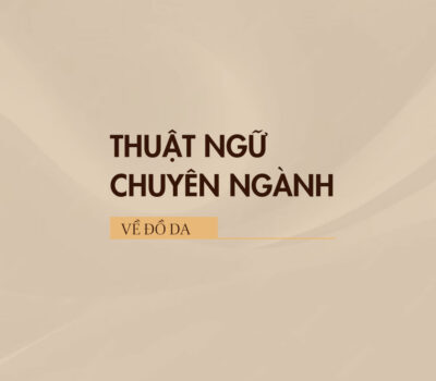 Tổng hợp thuật ngữ chuyên ngành về đồ da có thể bạn chưa biết