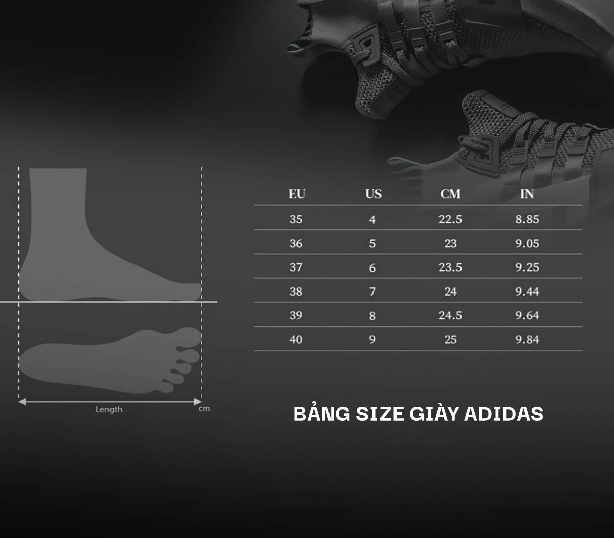 Bảng size giày Adidas chuẩn cho nam, nữ, trẻ em